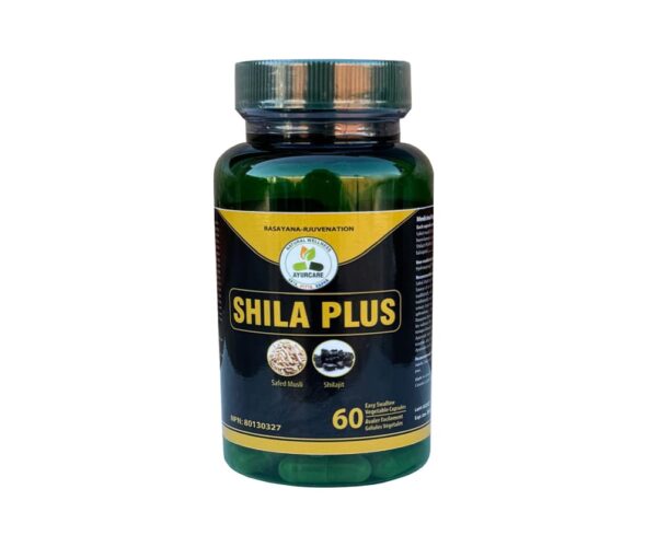 Shila Plus img-min